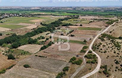 SATILIK! HAYRABOLU KADRİYE 4 ADET 287.5 m2 TARLA HİSSESİ.