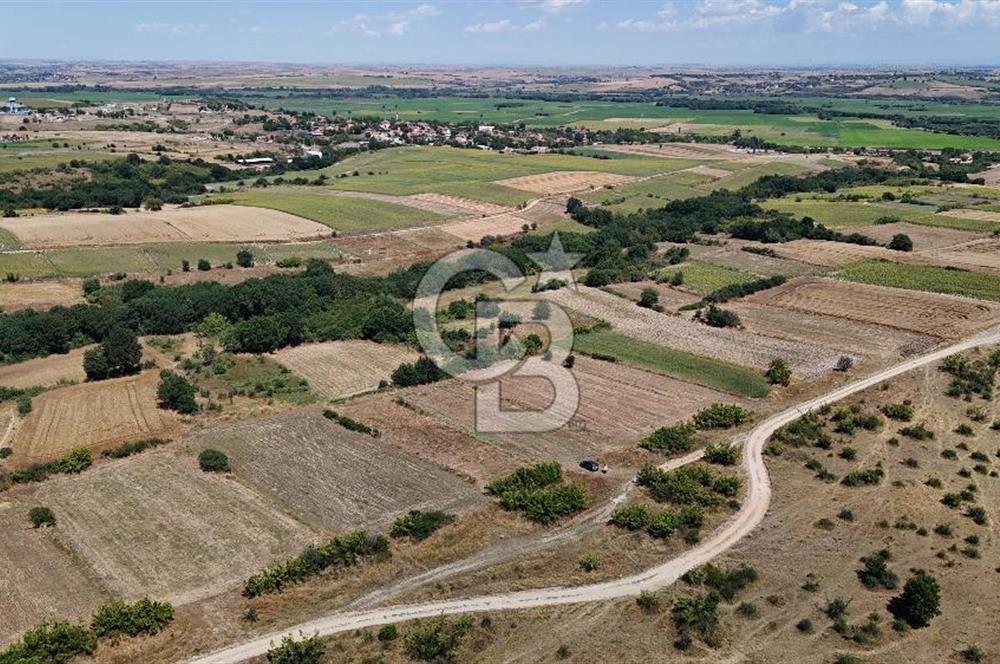 SATILIK! HAYRABOLU KADRİYE 4 ADET 287.5 m2 TARLA HİSSESİ.
