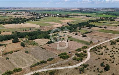 SATILIK! HAYRABOLU KADRİYE 4 ADET 287.5 m2 TARLA HİSSESİ.