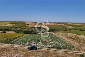 SATILIK YOLA CEPHE HAYRABOLU KADRİYE 275 M2 TARLA HİSSESİ - 3 - 360809