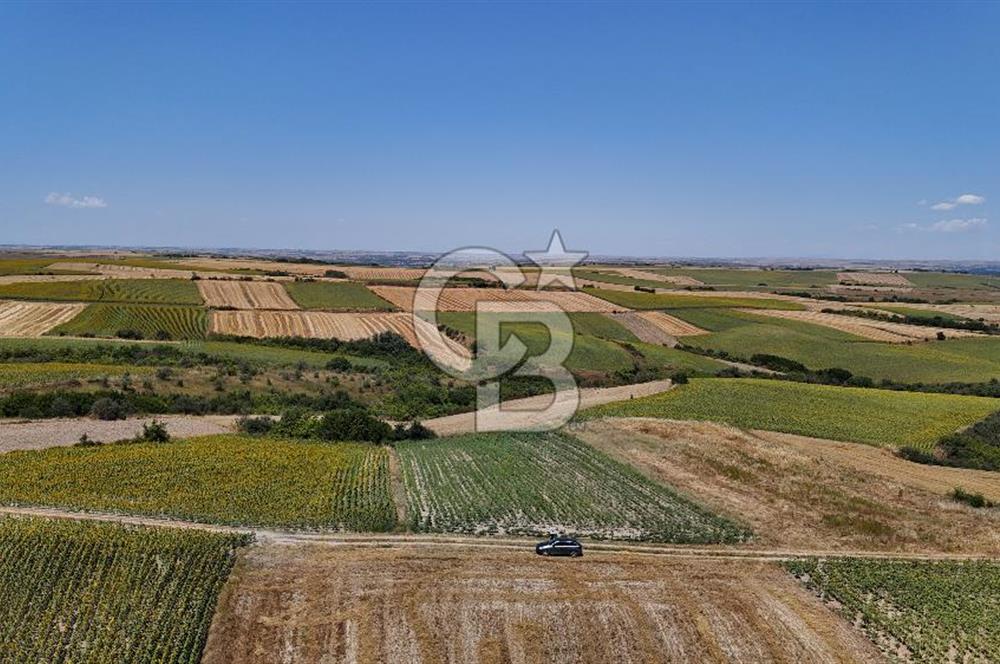 SATILIK YOLA CEPHE HAYRABOLU KADRİYE 275 M2 TARLA HİSSESİ