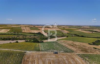 SATILIK YOLA CEPHE HAYRABOLU KADRİYE 275 M2 TARLA HİSSESİ