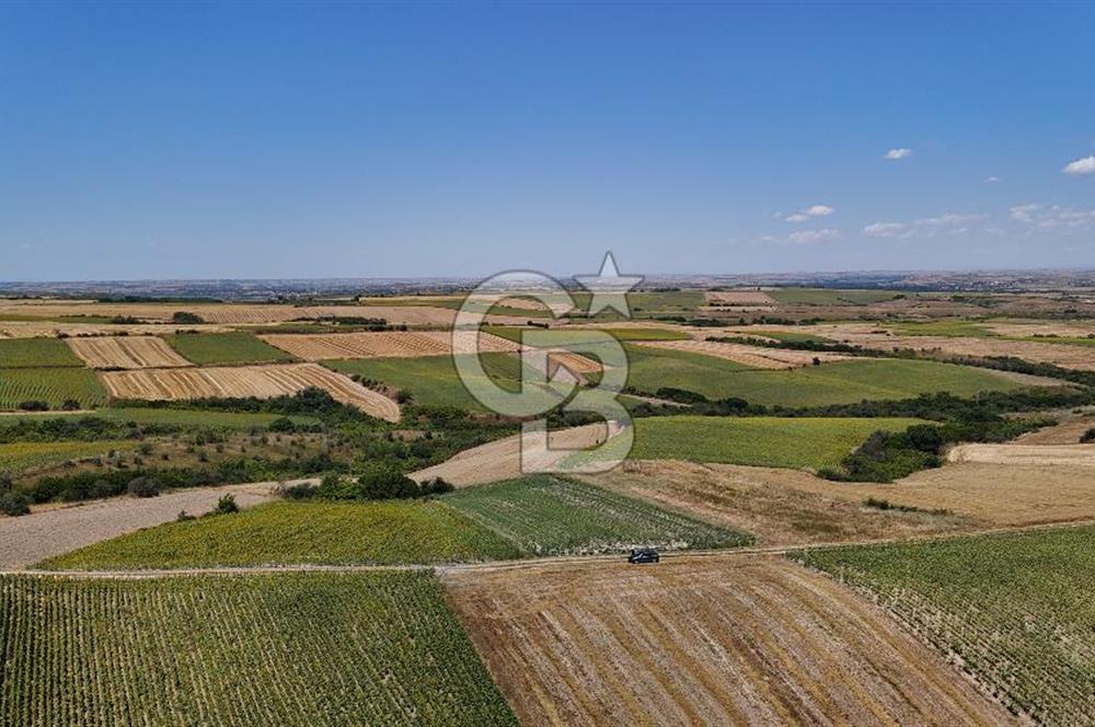 SATILIK YOLA CEPHE HAYRABOLU KADRİYE 275 M2 TARLA HİSSESİ