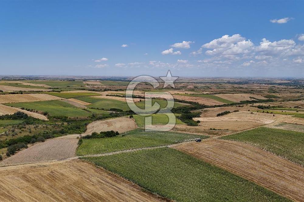 SATILIK YOLA CEPHE HAYRABOLU KADRİYE 275 M2 TARLA HİSSESİ