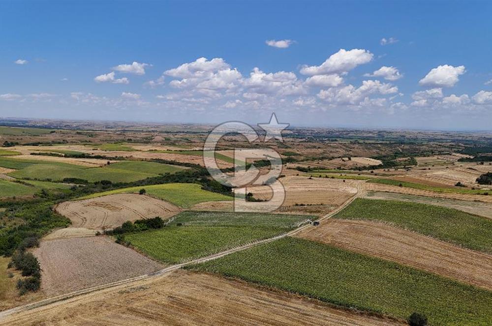 SATILIK YOLA CEPHE HAYRABOLU KADRİYE 275 M2 TARLA HİSSESİ