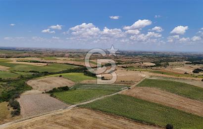 SATILIK YOLA CEPHE HAYRABOLU KADRİYE 275 M2 TARLA HİSSESİ