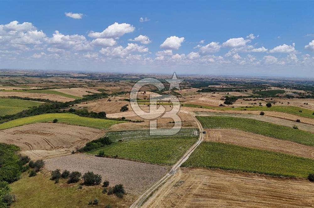 SATILIK YOLA CEPHE HAYRABOLU KADRİYE 275 M2 TARLA HİSSESİ