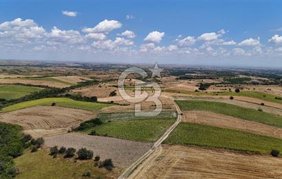 SATILIK YOLA CEPHE HAYRABOLU KADRİYE 275 M2 TARLA HİSSESİ