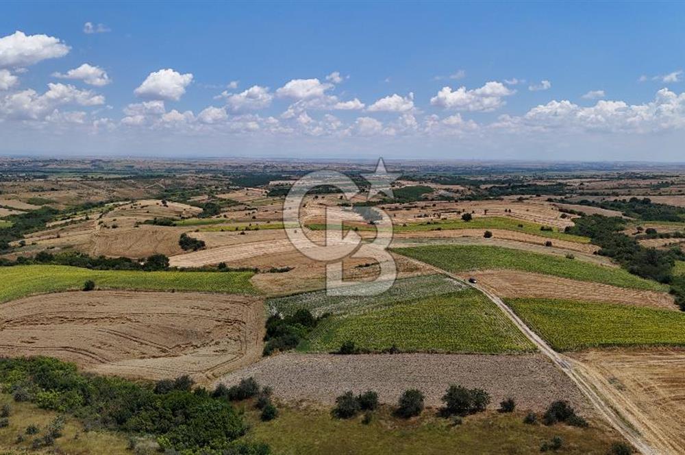 SATILIK YOLA CEPHE HAYRABOLU KADRİYE 275 M2 TARLA HİSSESİ
