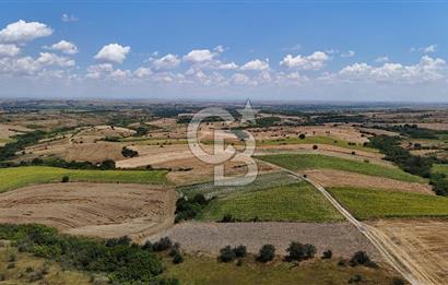 SATILIK YOLA CEPHE HAYRABOLU KADRİYE 275 M2 TARLA HİSSESİ