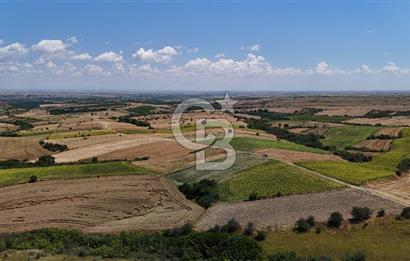 SATILIK YOLA CEPHE HAYRABOLU KADRİYE 275 M2 TARLA HİSSESİ