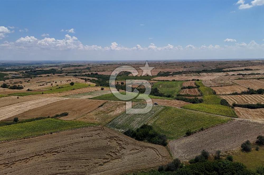 SATILIK YOLA CEPHE HAYRABOLU KADRİYE 275 M2 TARLA HİSSESİ