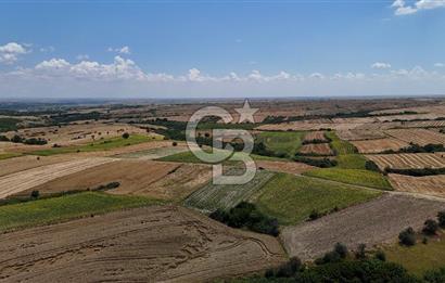 SATILIK YOLA CEPHE HAYRABOLU KADRİYE 275 M2 TARLA HİSSESİ