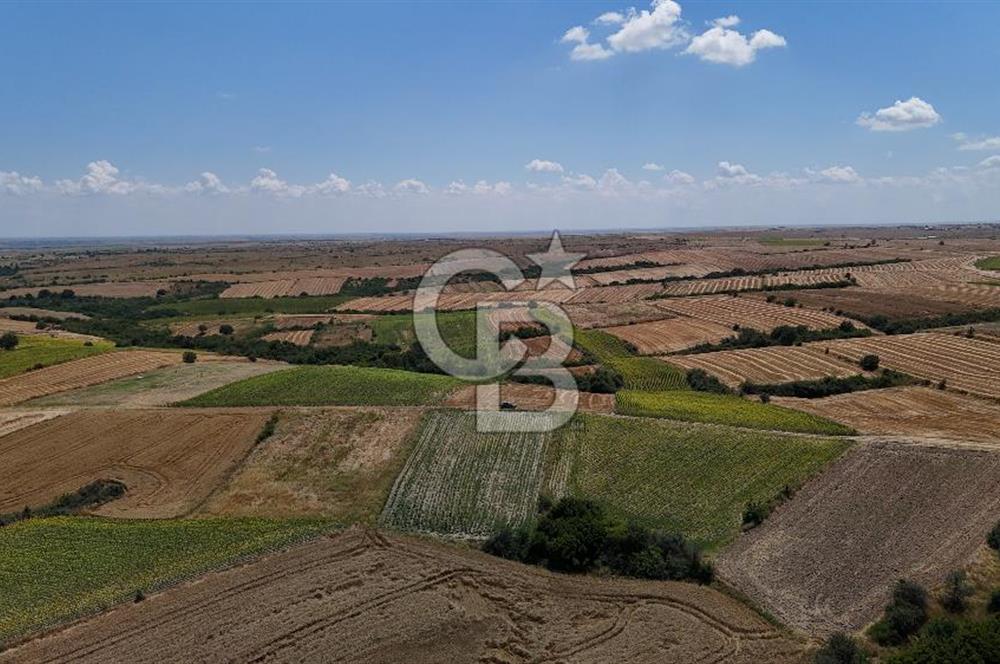SATILIK YOLA CEPHE HAYRABOLU KADRİYE 275 M2 TARLA HİSSESİ