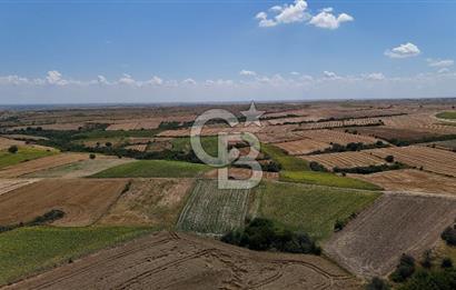SATILIK YOLA CEPHE HAYRABOLU KADRİYE 275 M2 TARLA HİSSESİ