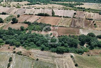 SATILIK HAYRABOLU KADRİYE 375m2 TARLA HİSSESİ. - 4 - 360808