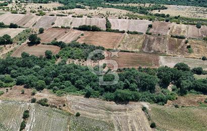 SATILIK HAYRABOLU KADRİYE 375m2 TARLA HİSSESİ.