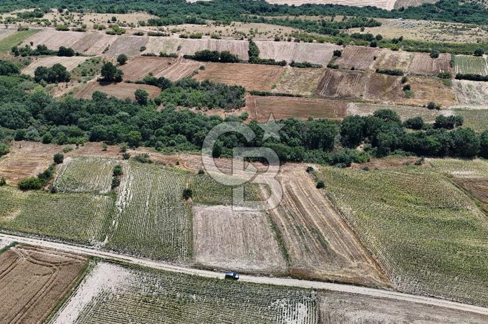 SATILIK HAYRABOLU KADRİYE 375m2 TARLA HİSSESİ.