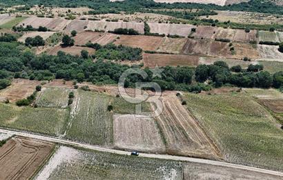 SATILIK HAYRABOLU KADRİYE 375m2 TARLA HİSSESİ.