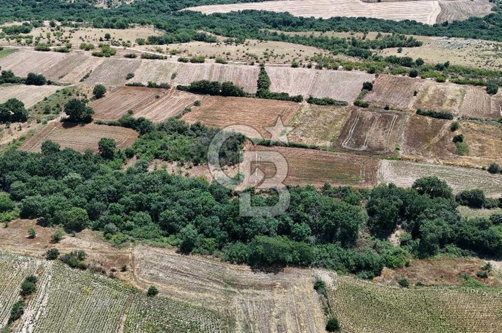 SATILIK HAYRABOLU KADRİYE 375m2 TARLA HİSSESİ.