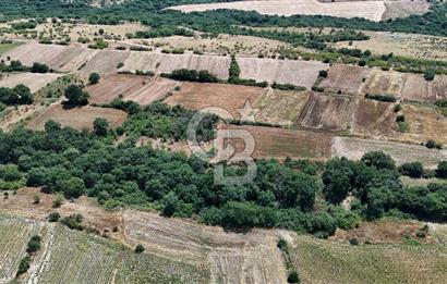 SATILIK HAYRABOLU KADRİYE 375m2 TARLA HİSSESİ.