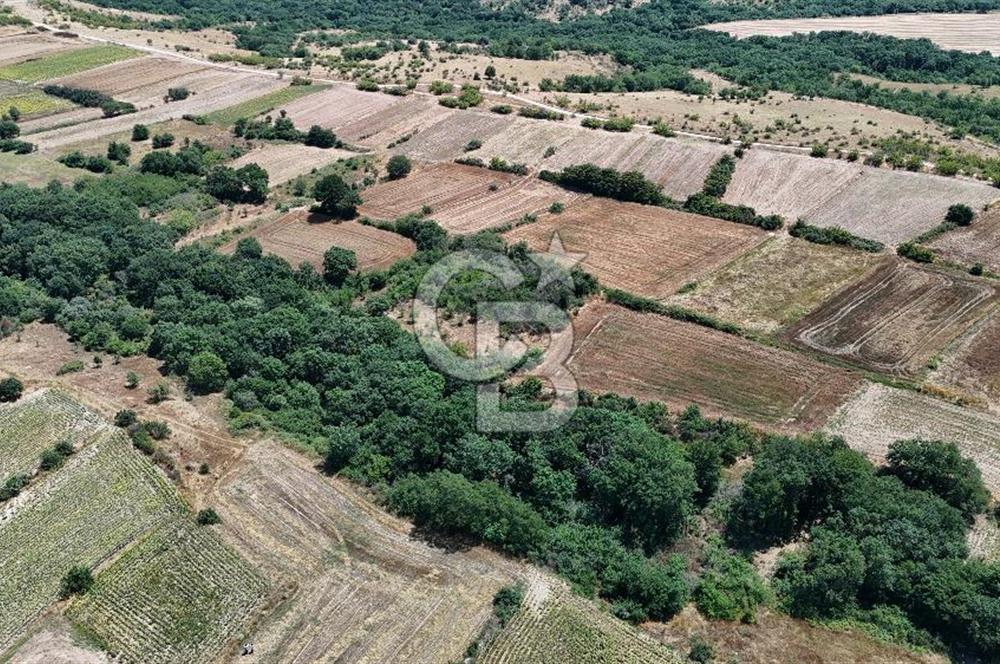 SATILIK HAYRABOLU KADRİYE 375m2 TARLA HİSSESİ.