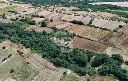 SATILIK HAYRABOLU KADRİYE 375m2 TARLA HİSSESİ.