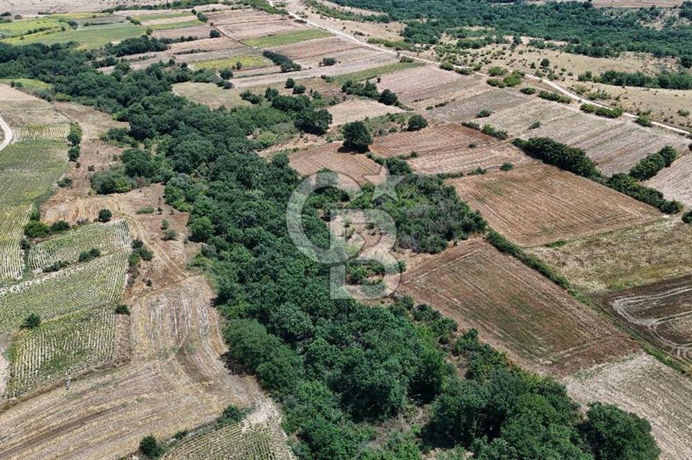 SATILIK HAYRABOLU KADRİYE 375m2 TARLA HİSSESİ.