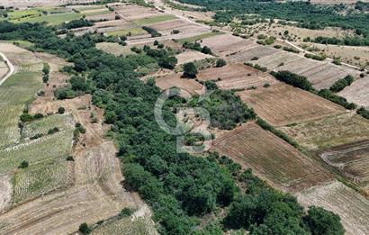 SATILIK HAYRABOLU KADRİYE 375m2 TARLA HİSSESİ.
