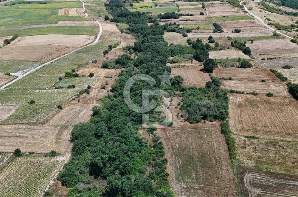 SATILIK HAYRABOLU KADRİYE 375m2 TARLA HİSSESİ.