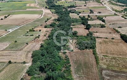 SATILIK HAYRABOLU KADRİYE 375m2 TARLA HİSSESİ.