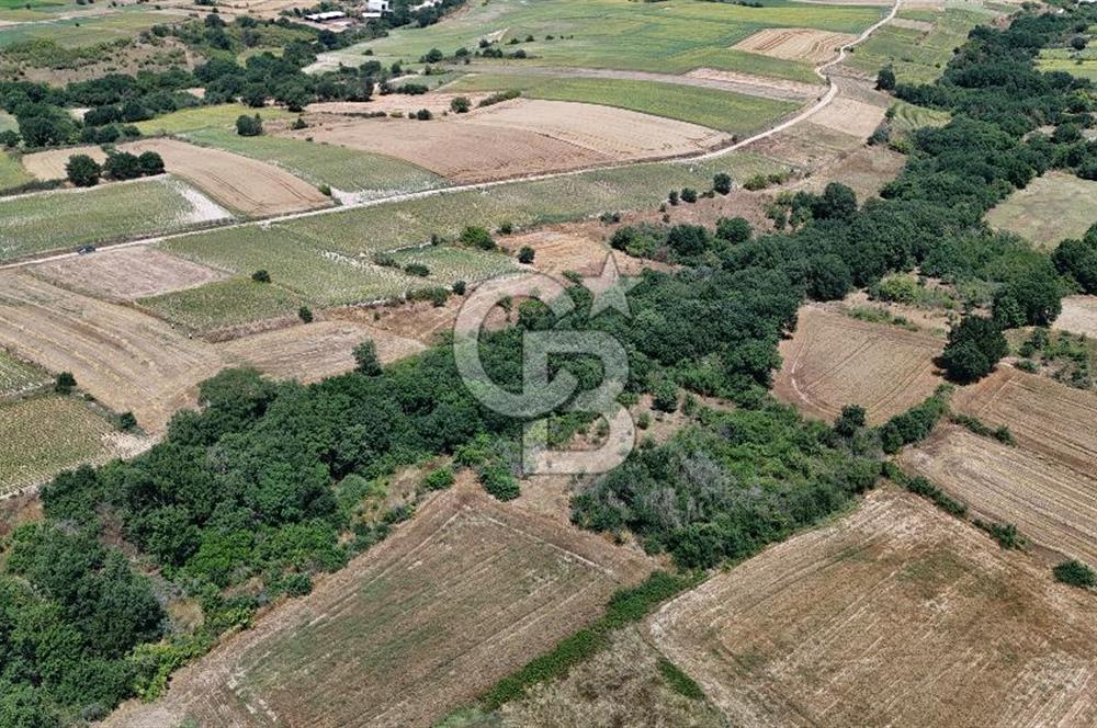 SATILIK HAYRABOLU KADRİYE 375m2 TARLA HİSSESİ.