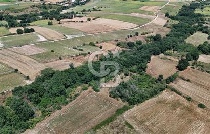 SATILIK HAYRABOLU KADRİYE 375m2 TARLA HİSSESİ.