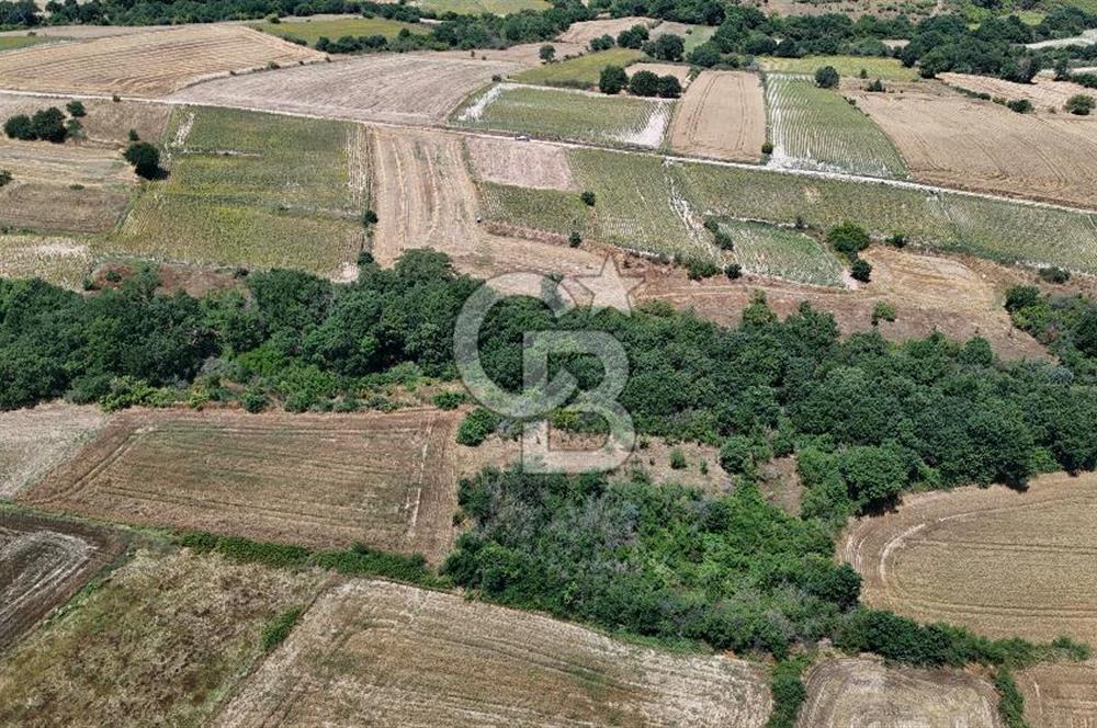 SATILIK HAYRABOLU KADRİYE 375m2 TARLA HİSSESİ.