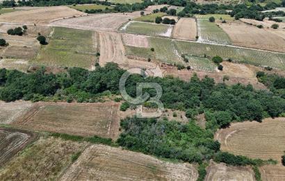 SATILIK HAYRABOLU KADRİYE 375m2 TARLA HİSSESİ.