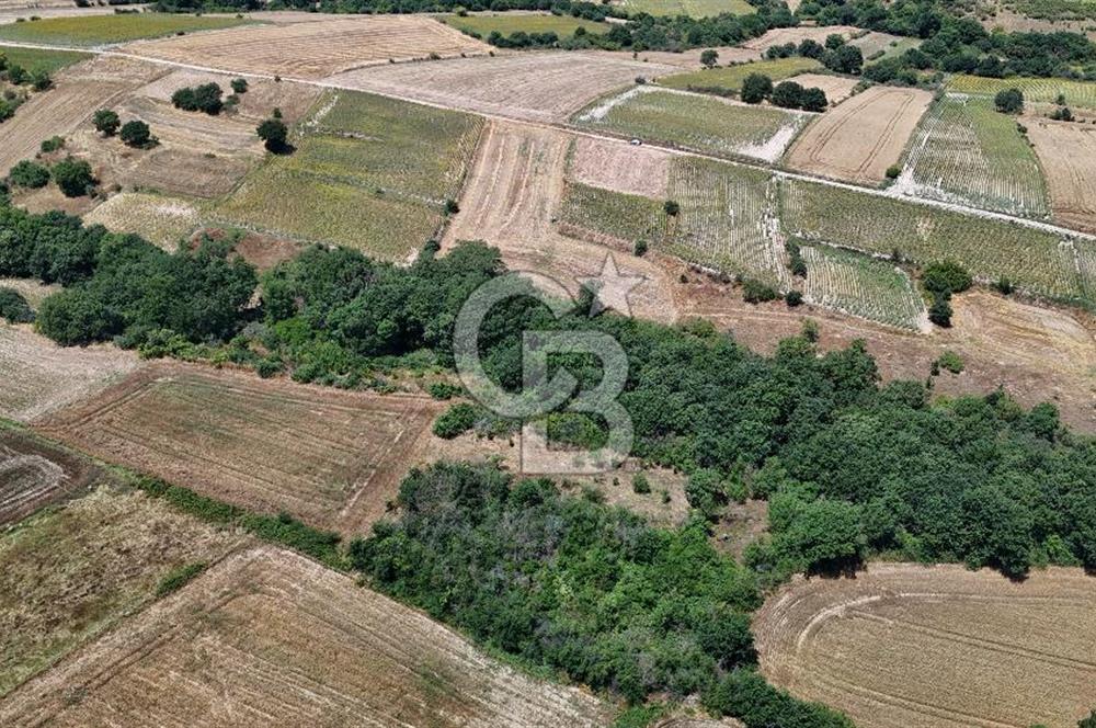 SATILIK HAYRABOLU KADRİYE 375m2 TARLA HİSSESİ.