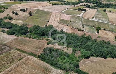 SATILIK HAYRABOLU KADRİYE 375m2 TARLA HİSSESİ.