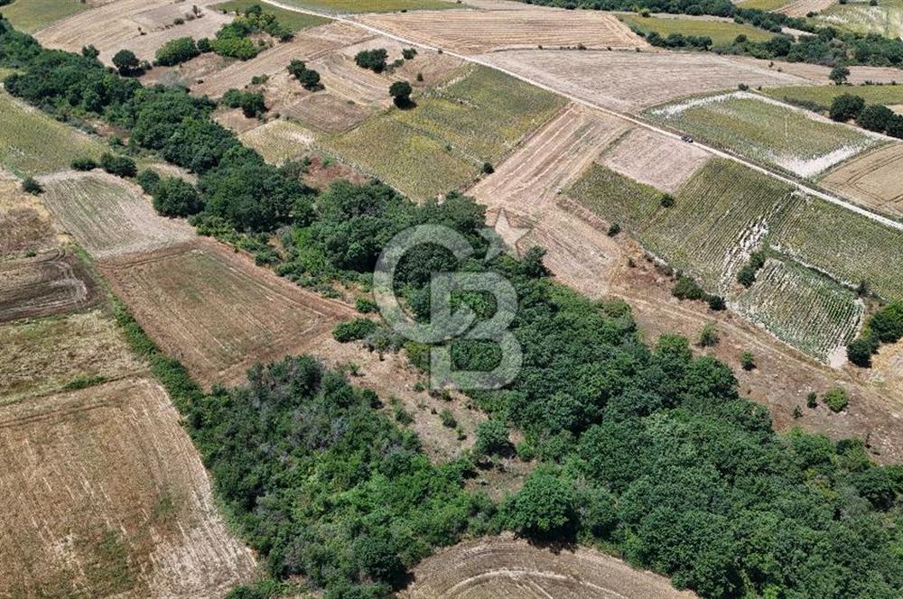 SATILIK HAYRABOLU KADRİYE 375m2 TARLA HİSSESİ.