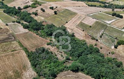 SATILIK HAYRABOLU KADRİYE 375m2 TARLA HİSSESİ.