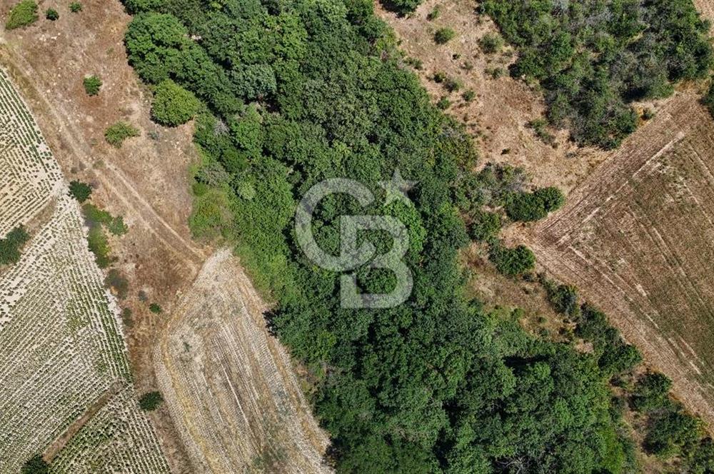 SATILIK HAYRABOLU KADRİYE 4 ADET 325m2 TARLA HİSSESİ