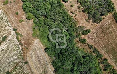 SATILIK HAYRABOLU KADRİYE 4 ADET 325m2 TARLA HİSSESİ