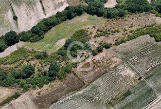 SATILIK HAYRABOLU KADRİYE 4 ADET 325m2 TARLA HİSSESİ - 2 - 360812