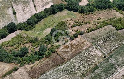 SATILIK HAYRABOLU KADRİYE 4 ADET 325m2 TARLA HİSSESİ