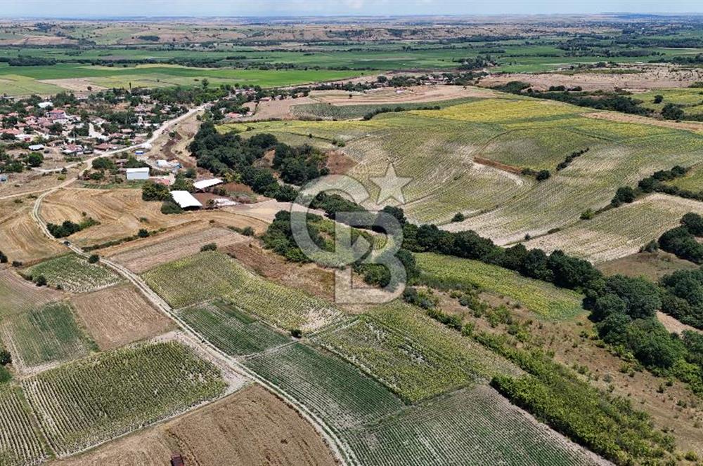 SATILIK HAYRABOLU KADRİYE 4 ADET 325m2 TARLA HİSSESİ