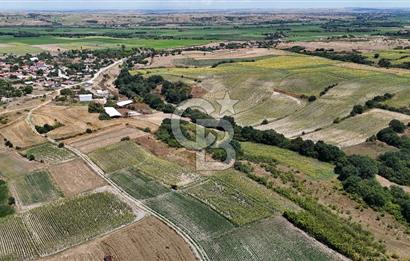 SATILIK HAYRABOLU KADRİYE 4 ADET 325m2 TARLA HİSSESİ