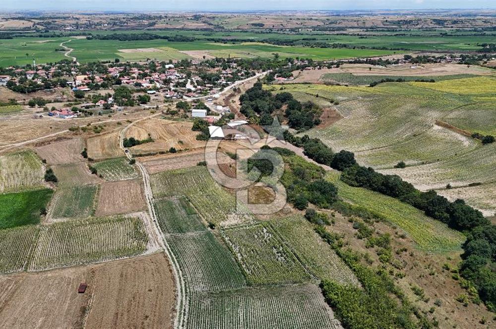 SATILIK HAYRABOLU KADRİYE 4 ADET 325m2 TARLA HİSSESİ