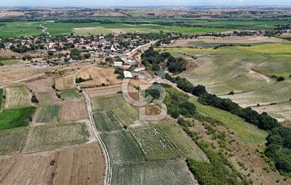 SATILIK HAYRABOLU KADRİYE 4 ADET 325m2 TARLA HİSSESİ