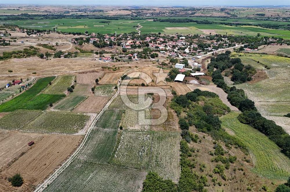 SATILIK HAYRABOLU KADRİYE 4 ADET 325m2 TARLA HİSSESİ