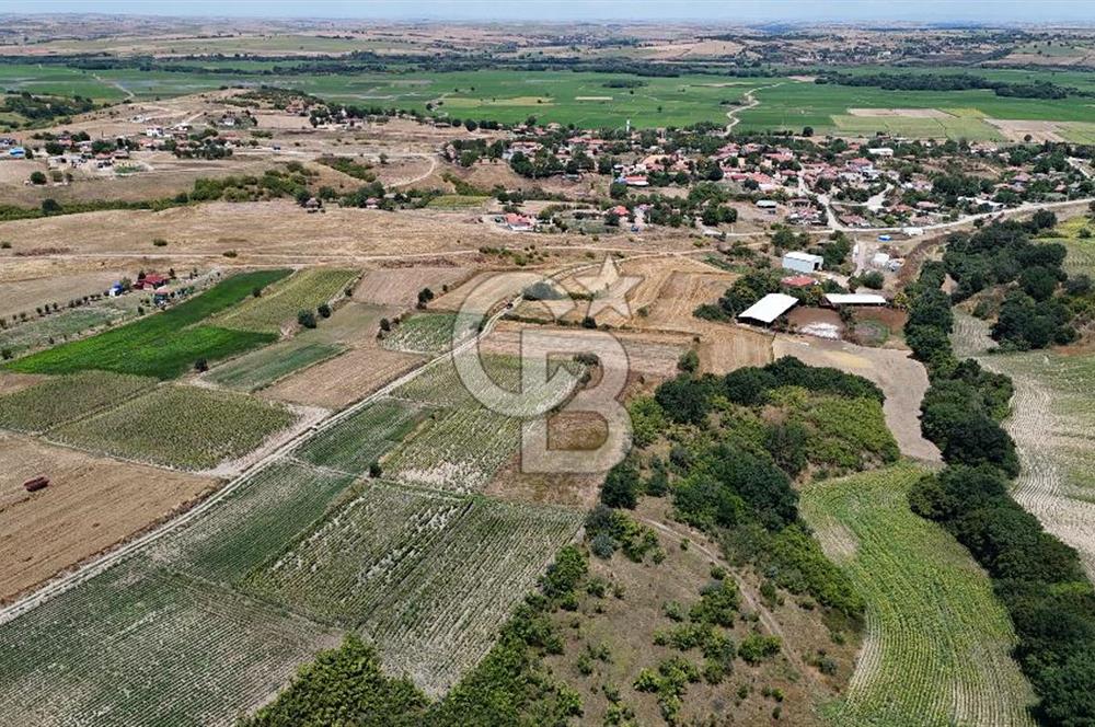 SATILIK HAYRABOLU KADRİYE 4 ADET 325m2 TARLA HİSSESİ