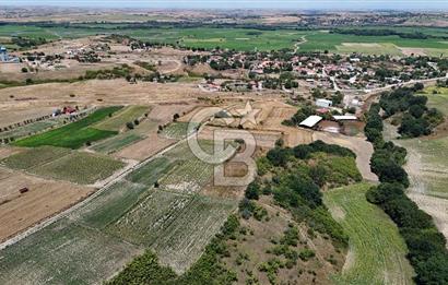 SATILIK HAYRABOLU KADRİYE 4 ADET 325m2 TARLA HİSSESİ